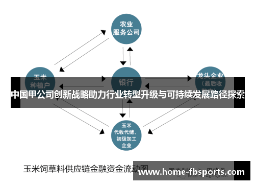 中国甲公司创新战略助力行业转型升级与可持续发展路径探索